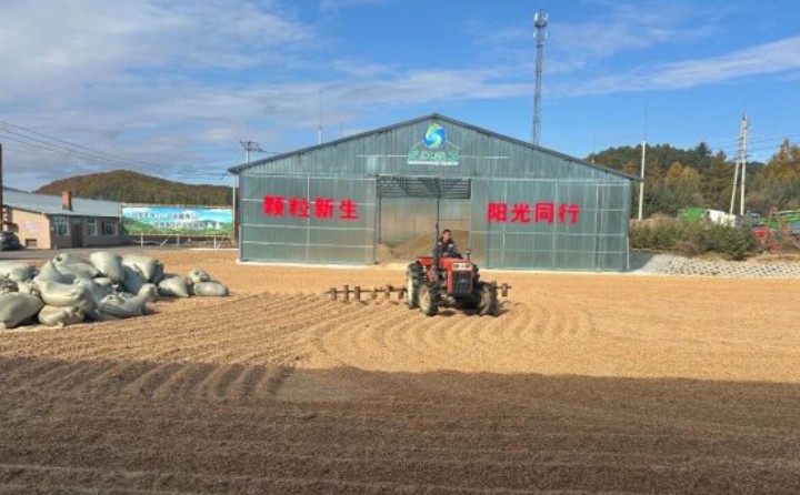 黑龍江鶴立林業局：生物質顆粒產業點燃綠色發展新引擎
