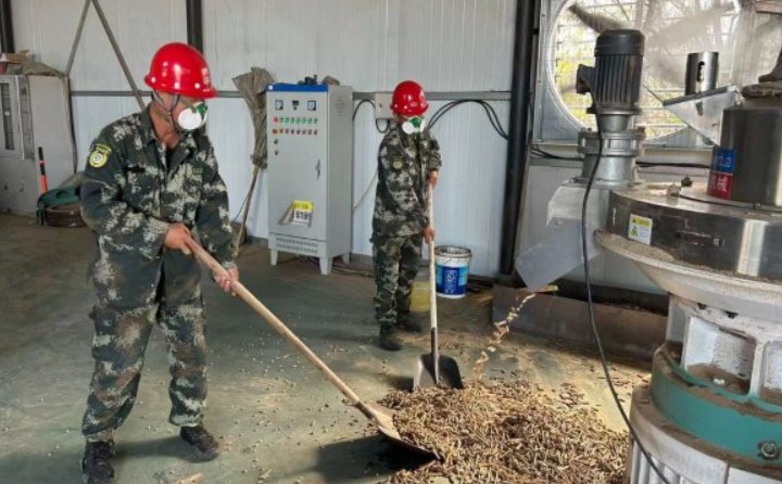 黑龍江鶴立林業局：生物質顆粒產業點燃綠色發展新引擎