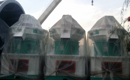 11.3生物質蜜桃AV在线网址發貨直播