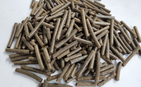 新能源司副司長梁誌鵬：相比較於其他可再生能源，生物質能利用意義更大