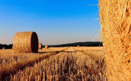 2019年秸稈綜合利用有補助嗎？每畝補助多少錢？