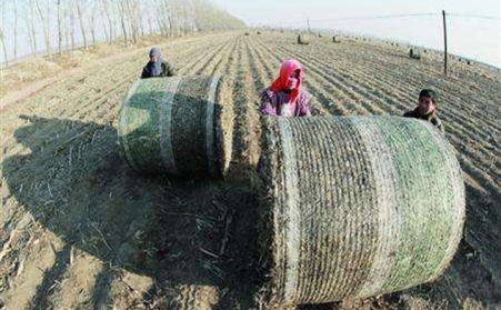 生物質蜜桃AV在线网址設備從不挑食！