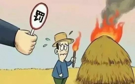 秸稈禁燒怎麽辦？秸稈蜜桃AV在线网址幫您變廢為寶！