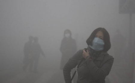 玉米秸稈蜜桃AV在线网址如何使秸稈變“寶貝”？