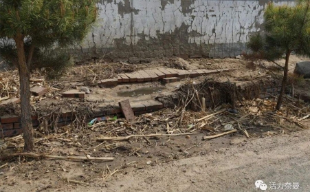 生物質蜜桃AV在线网址的發展，對處理農村垃圾具有重要意義