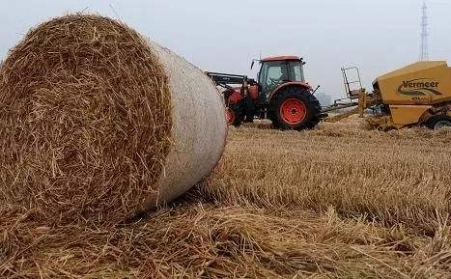 秸稈蜜桃AV在线网址為發展生物質能源奠定基礎