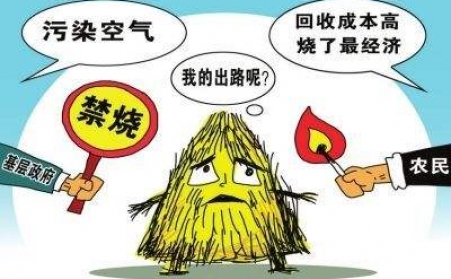 黑龍江秸稈蜜桃AV在线网址把秸稈從包袱變回寶貝！
