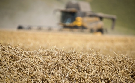看這裏！了解木屑蜜桃AV在线网址如何利用廢棄物