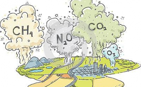 秸杆如何綜合治理，秸稈蜜桃AV在线网址來幫忙！