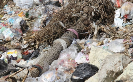 秸稈蜜桃AV在线网址的發展造福農民