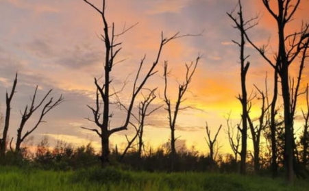 河北鋸末蜜桃AV在线网址的社會意義