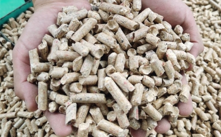 河南生物質蜜桃AV在线网址燃料與其他燃料的區別