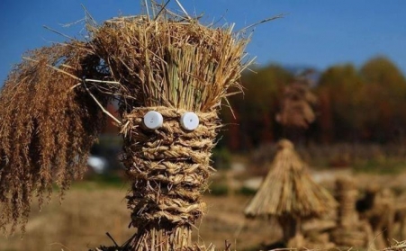 生物質燃料蜜桃AV在线网址型號的區別及特點