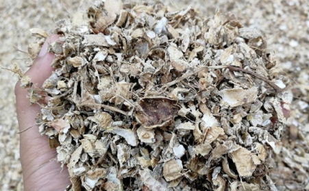 為什麽有人願意花錢買生物質燃料蜜桃AV在线网址來加工稻殼花生殼呢？有必要嗎？