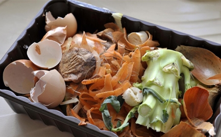 外國能源部科學家們正在將食物垃圾用生物質蜜桃AV在线网址轉化為清潔可再生的燃料