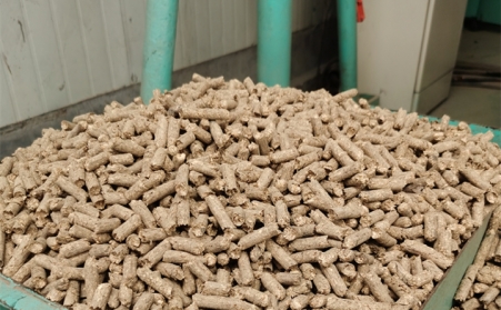 2021陽信清潔取暖1萬多戶全部使用生物質蜜桃AV在线网址的燃料顆粒