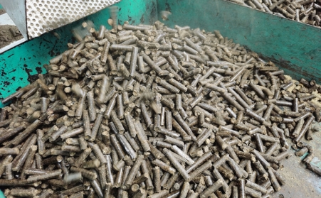 關於生物質蜜桃AV在线网址燃料的2個事