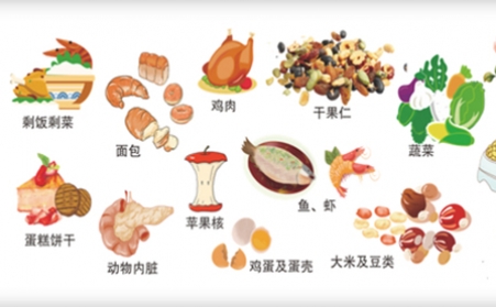 我國明確對非居民廚餘垃圾處理按“產生者付費”原則計量收費,你的垃圾怎麽辦？垃圾生物質蜜桃AV在线网址幫你解決