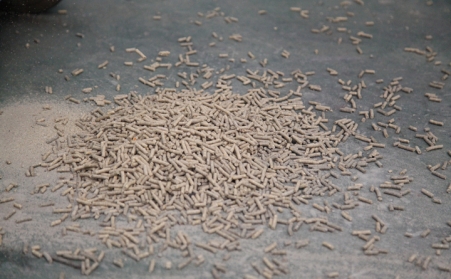 在日照生物質蜜桃AV在线网址的顆粒怎麽保存？