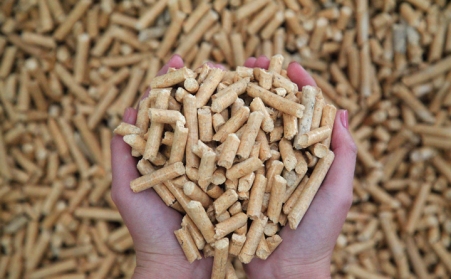 生物質蜜桃AV在线网址燃料已經成為許多國家主要燃料