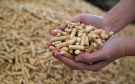 生物質燃料蜜桃AV在线网址生產的顆粒與其他燃料的對比