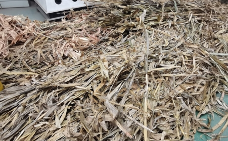 突泉縣：廢棄秸稈綜合利用催生綠色經濟