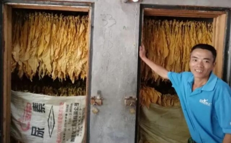 光澤華僑鄉：改造生物質顆粒燃料烤房，助力煙農減工增收