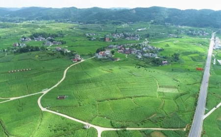 福泉：生物質顆粒智能化烘烤 助力烤煙產業提質增效