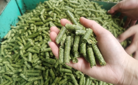 河南支持生物質能等可再生能源替代，助力實現碳達峰碳中和目標