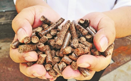 武漢鼓勵石化、建材行業擴大生物質等清潔能源消費比重