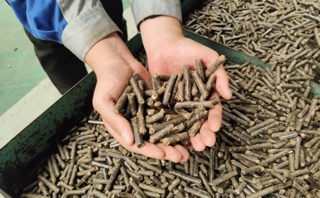 細說生物質蜜桃AV在线网址加工的顆粒燃料到底用在了哪裏？該賣給誰？