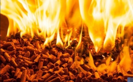 研報：歐洲的木屑顆粒供應衝擊