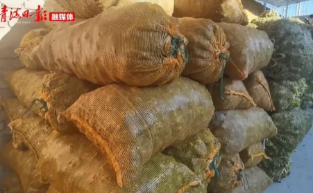 青海海東樂都：生物質顆粒燃料燃起鄉村振興新希望