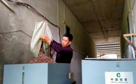 江西贛州煙區：開啟煙葉烘烤“綠色之門”