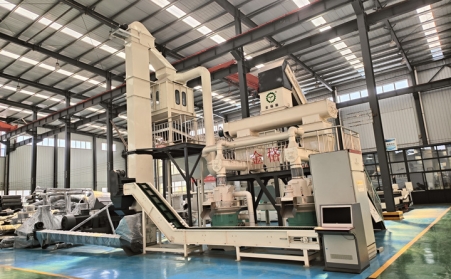 投資生物質蜜桃AV在线网址生產線需要考慮什麽問題？選擇哪家蜜桃AV在线网址廠家？