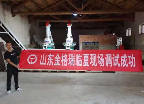 甘肅臨夏年產1萬5千噸生物質燃料蜜桃AV在线网址生產線調試完成