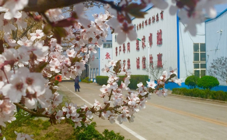 蜜桃性爱视频四季