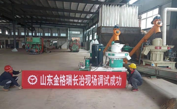 山西長治生物質蜜桃AV在线网址調試成功