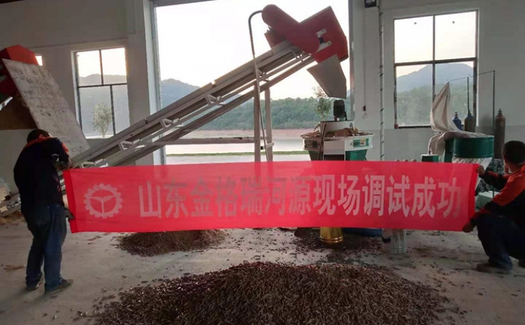 廣東河源木屑蜜桃AV在线网址調試成功