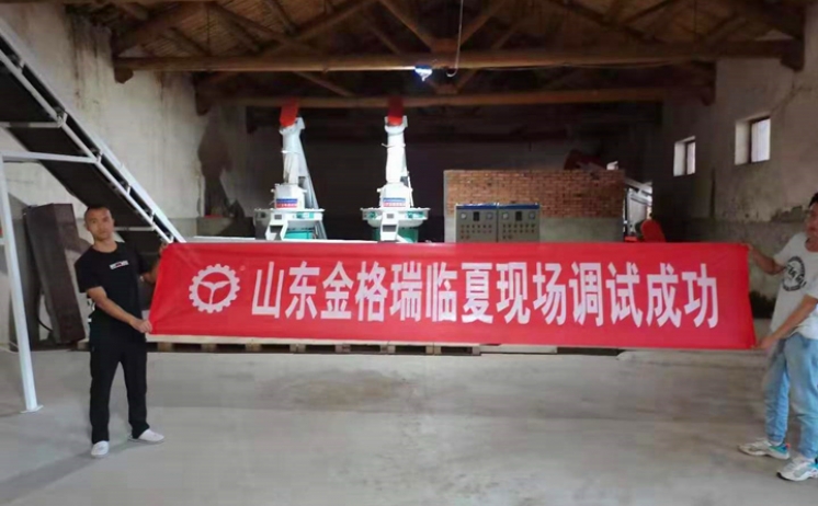 甘肅臨夏年產1萬5千噸生物質燃料蜜桃AV在线网址生產線調試完成